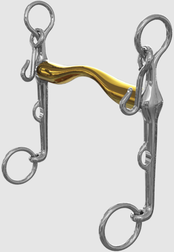 Neue Schule Starter Weymouth